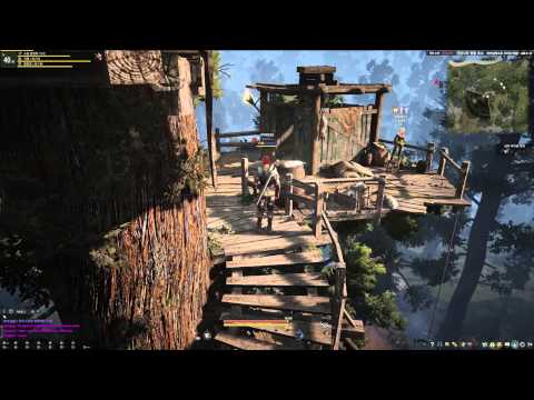 Black Desert Online