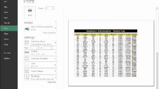 Excel 2013: Printing Comments