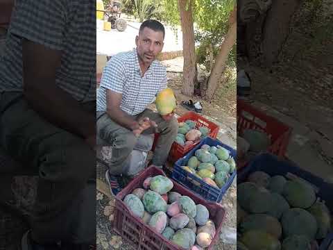 الصبر شوية يا جدعان مفيش حد عاجبه حاجه خالص