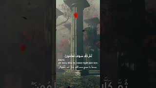 💚 সূরা আত-তাকাসুর 💚 | Surah At Takathur | سوره التكاثر Muhammad Al Muqit #quran #shorts #quotes