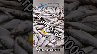 Поймал инспектор рыбнадзора😱 ШТРАФ 1.000000 ₽😭 #прикол #юмор #смешно #рыбалка #shortsvideo
