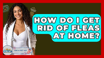 How Do I Get Rid Of Fleas At Home? - Ask A Pet Vet