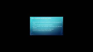 Real Value Modeling for Improving the Verification Performance