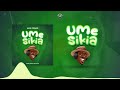 Man Fongo -Umesikia (Official Audio)