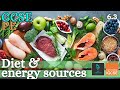 Diet and Energy Sources Quiz
