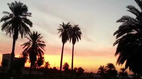 يَا أَيُّهَا الَّذِينَ آمَنُوا إِذَا جَاءَكُمُ الْمُؤْمِنَاتُ - تلاوة عذبه بصوت ندي القارئ ابو مالك