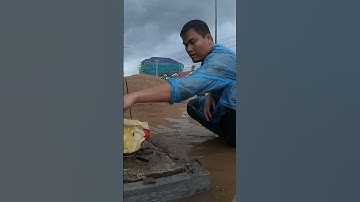 Remove Plastic Clogged Culvert Drain#drain #culvert #remove #unclog #satisfying #shorts