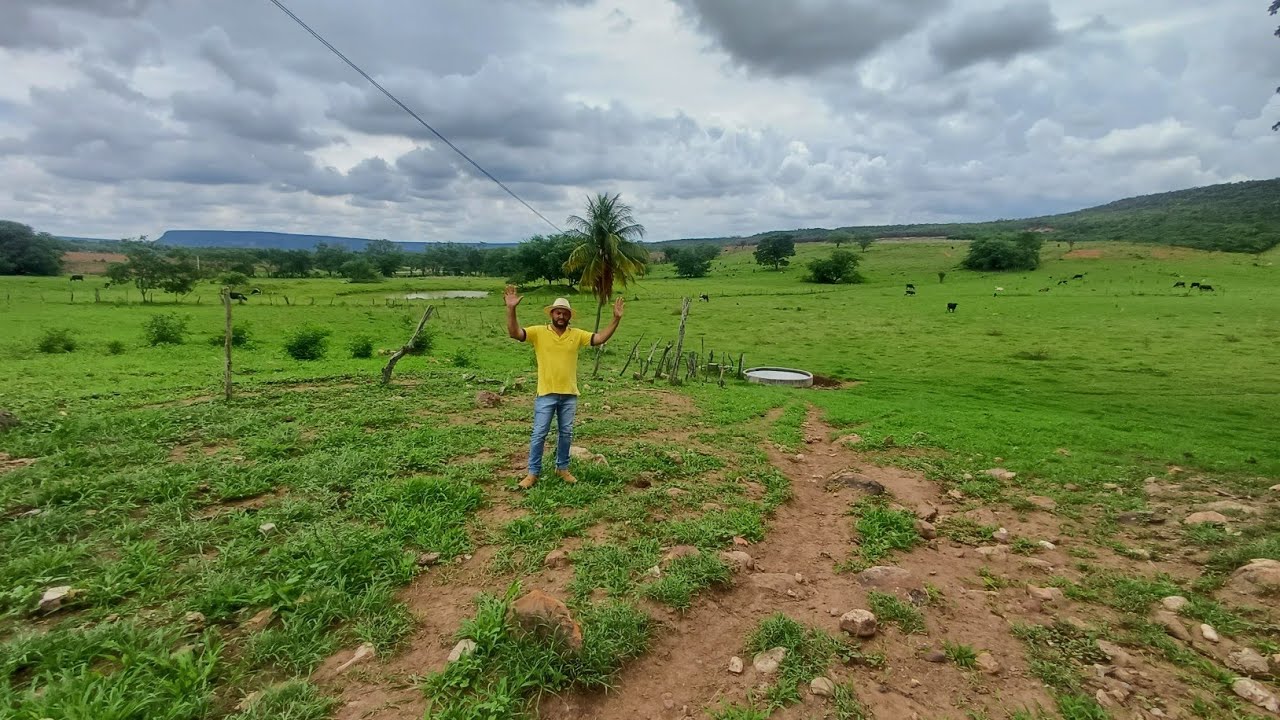 Vendo essa maravilha de sítio 36 hectares 8799102 3154/ 27 998799958 