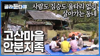 주변 산으로 병풍 치고 살아가는 고산마을 15가구|요즘 세상에 자급자족이 웬말이냐 싶지만, 보면 함께 살아가고 싶어지는 마을|한국기행|#골라듄다큐