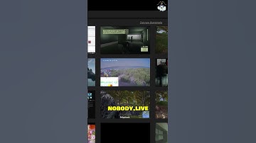 Cool websites if you are bored 😱👨‍💻 (part 8) - jSparrow #Shorts