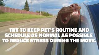 Moving with Pets? Check out this helpful tip! by Humboldt Storage and Moving 33 views 6 years ago 16 seconds