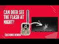 Can You See The Flash From This Camera?