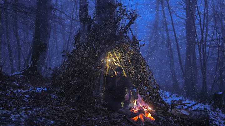 Extreme Winter Survival Camping without a Tent  - No Sleeping bag