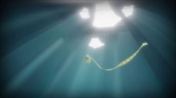 Journey ps3: Highlights with Shadykatt (2/2)