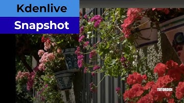 How to take snapshot in Kdenlive  - Kdenlive Tutorial #30