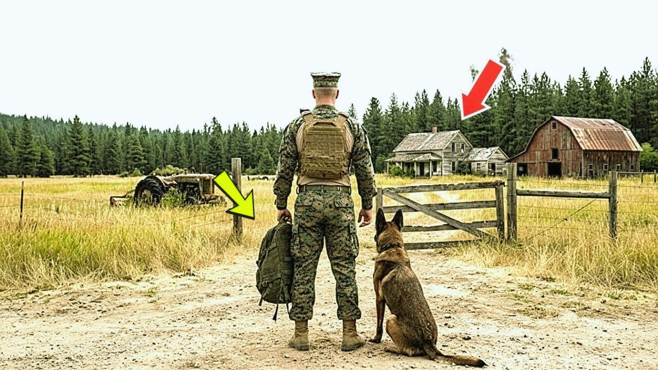 Todos se compadecieron de la granja de un dólar del marine, ¡pero su perro descubrió una bóveda de..
