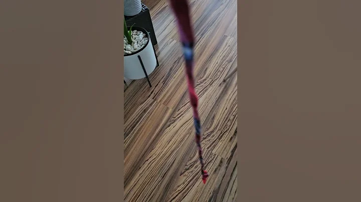 Video 9938311: cat playing funnycats, funny cat playing