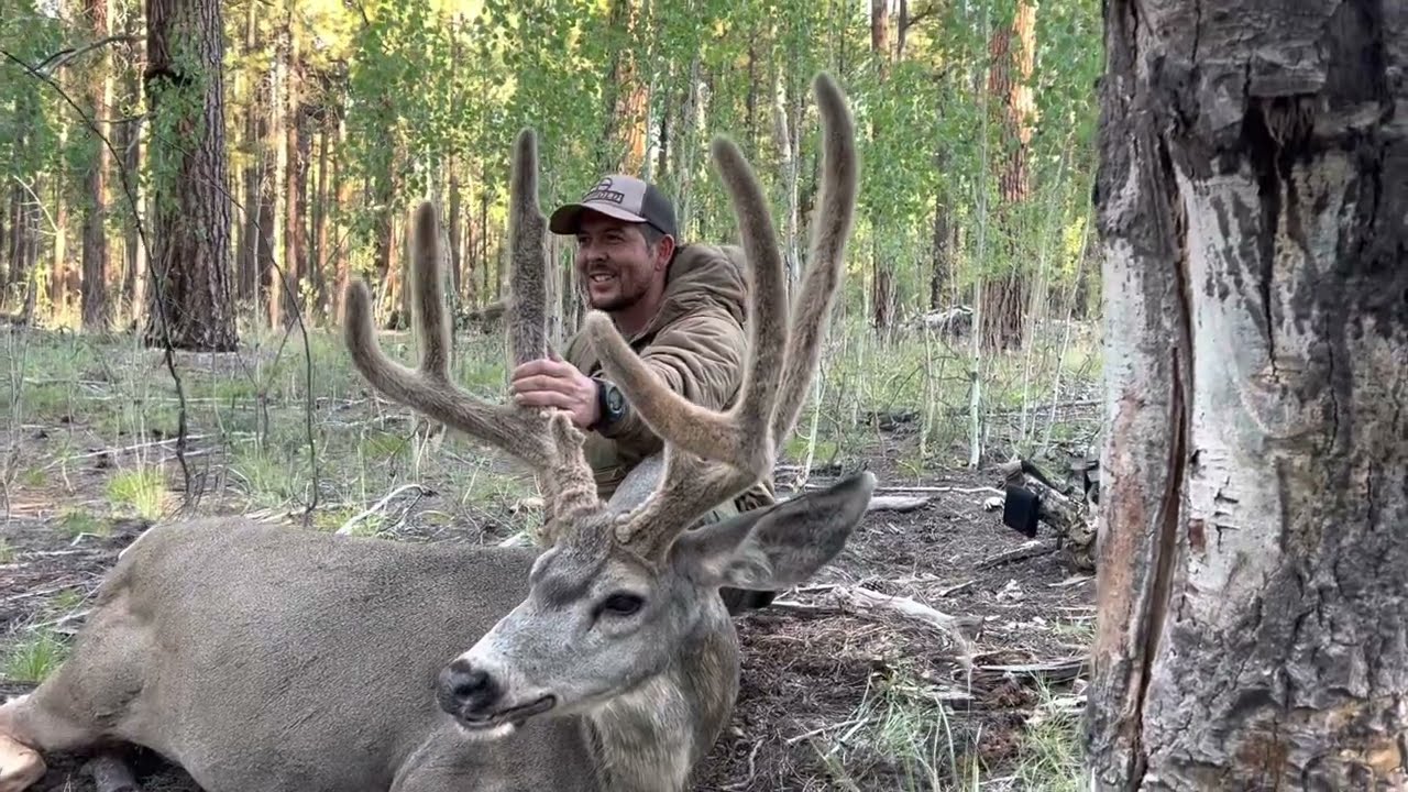 2022 Kaibab Archery Deer YouTube