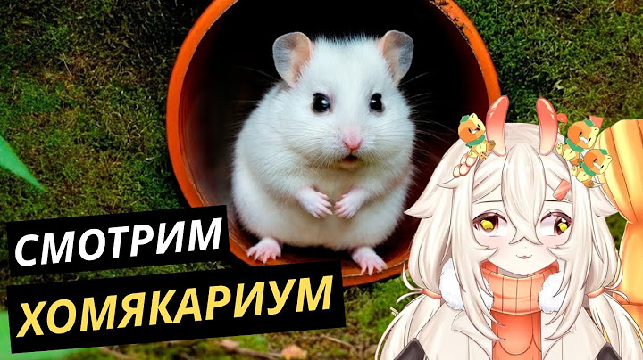 МЕМЕЛЬ СМОТРИТ: ДЕТЕНЫШИ СТЕПЫ ПОПАЛИ В ПОДЗЕМНЫЙ ХОМЯКАРИУМ | У ДЕТЕНЫША ХОМЯКА ИСЧЕЗ ГЛАЗИК