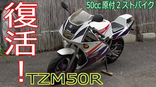 YSR50 TZM50 ガソリンタンク 値下げ不可 Yahoo!オークション -「tzm50 タンク」の落札相場・落札価格