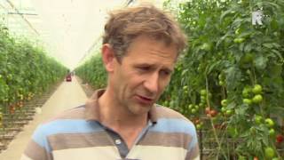 Tuinders In Probleemen Door Gebrek Co2