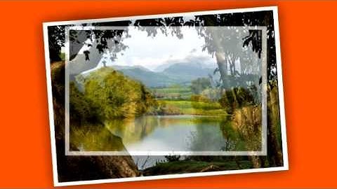 Digital cameras - the importance of image sensors