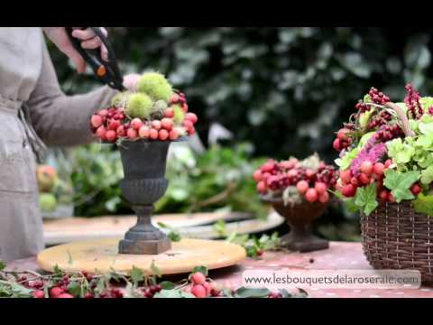 Vídeo: Elaboració De Vi Casolà A Partir De Fruites I Baies