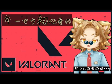 【VALORANT】上手くなりたいヴァロ配信【オロスラン＝ブルケット】