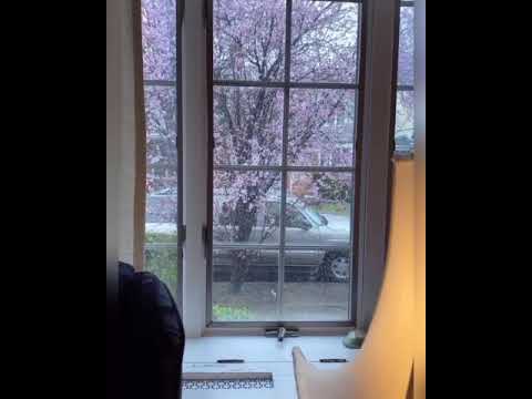 Что значит отец для дочери? ....