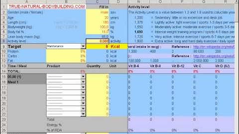 How to make a diet plan with excel: demo video part 1