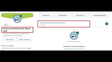 Service and Data Cloud: Quick Look | Salesforce Trailhead