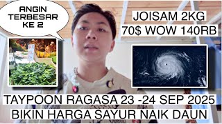 Download Lagu B4DA! ANGIN RAGASA PMI HK PADA DISURUH NGANTRI BELI SAYUR, MAJIKAN STAY RUMAH, SINI BAHAS CUY MP3 Download Lagu B4DA! ANGIN RAGASA PMI HK PADA DISURUH NGANTRI BELI SAYUR, MAJIKAN STAY RUMAH, SINI BAHAS CUY MP3