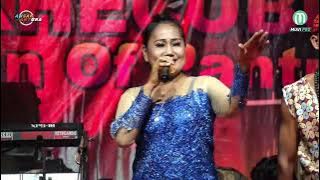 KANG PENDI ( TENGDUNG ) - MIMI CARINI - ANSAN PANTURA LIVE PANGENAN