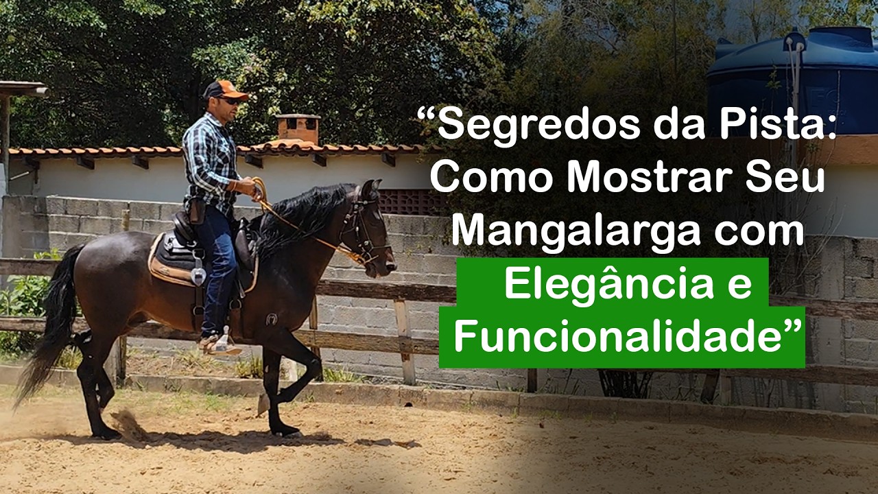Tudo Que Você Precisa Para Apresentar Bem um Mangalarga na Pista