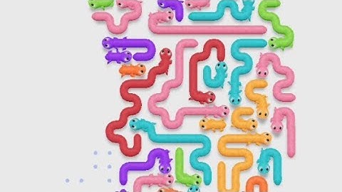 Gecko Out Level 21-24 Walkthrough Gameplay Android,iOS 