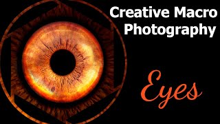 Creative Macro - Photographing your own eye