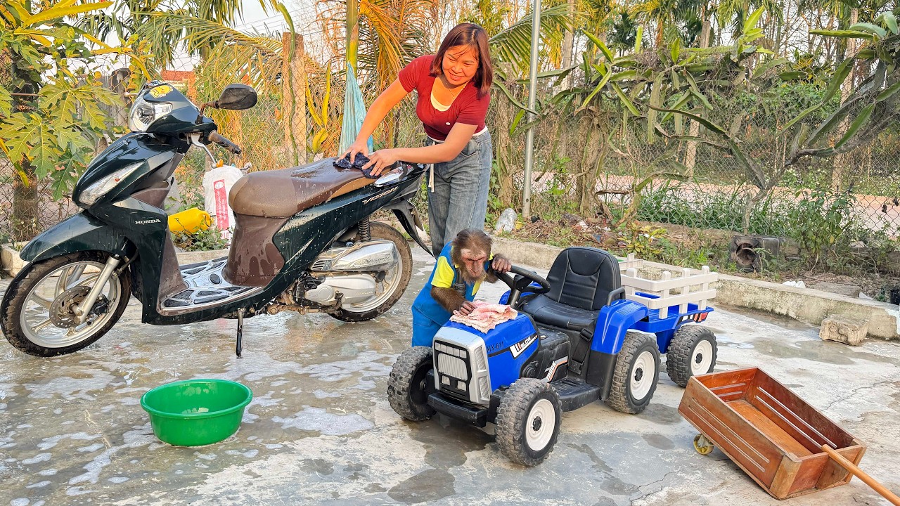 CUTIS excitedly with Mom Take Care of the Supercars
