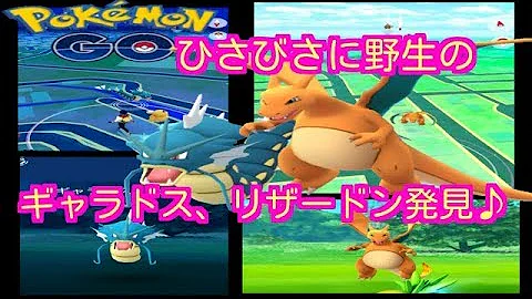 ポケモンgo野生
