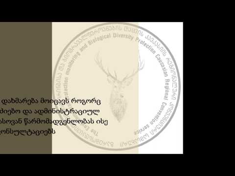 უფასო ადვოკატირების პროგრამა