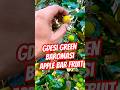 Desi Green Baromasi Apple Bar Fruit #viral #shorts #shortsfeed #short