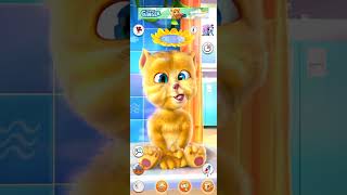 My talking tom to talking Booba cartoon shorts video booba gameplay funny ginger cats gq