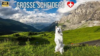 Most beautiful places in Switzerland - Grosse Scheidegg Grindelwald