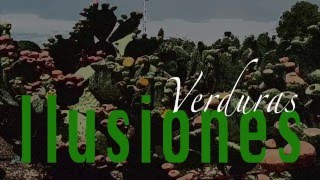 Stopmotion &quot;Verduras ilusiones&quot;