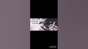 cobweb mlg from 100 blocks😶😶