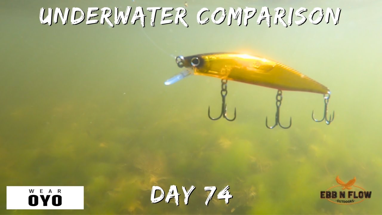 Сравнение джеркбейтов: какая приманка лучше всего играет под водой?