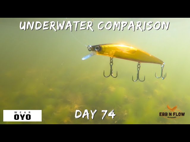 Jerk bait Comparison: Which lure has the best underwater Action