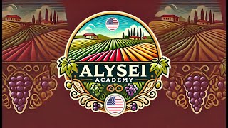 Alysei For Buyers How It Works