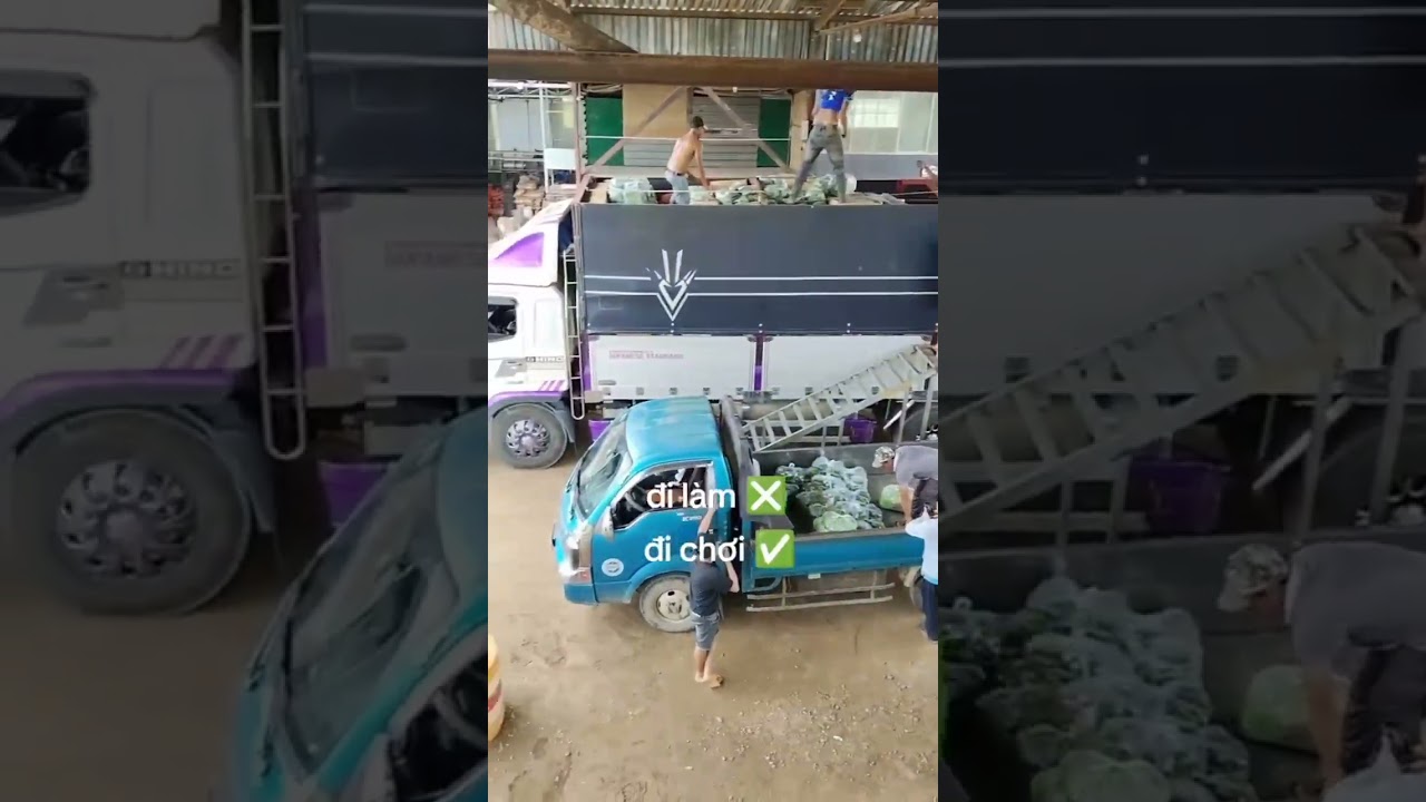 Tik tok xe tải đẹp nhất VN #40