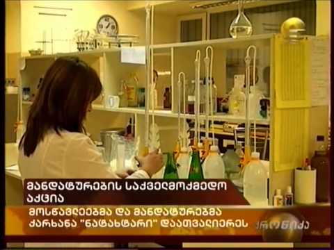 მანდატურის სამსახურის არსი