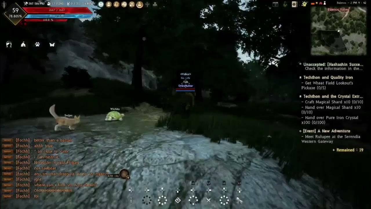 BDO Honey Rotation Bel Forest YouTube